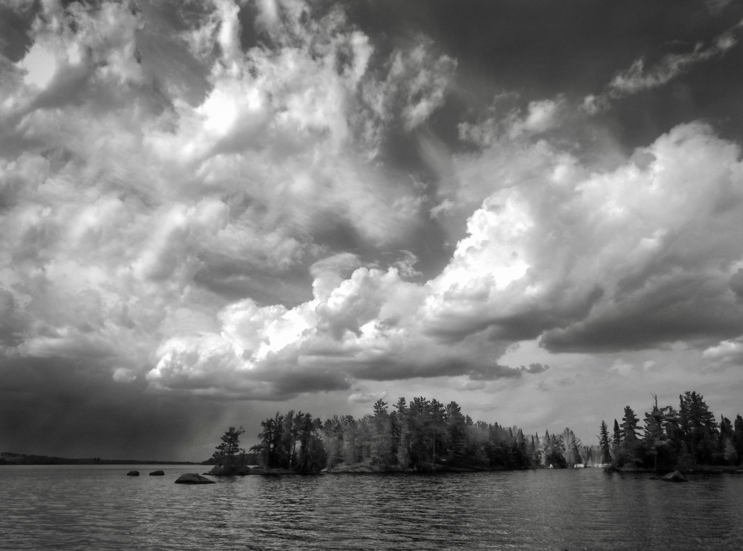 Hans Schmitt - Springs and Seasons - THE FRONT